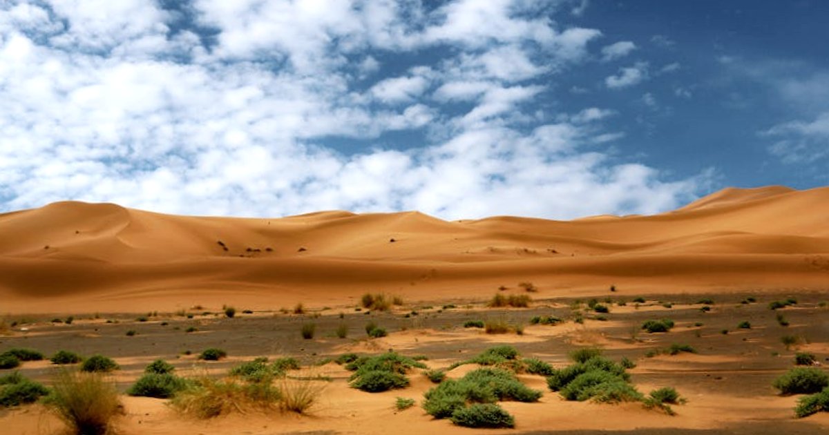 All inclusive w Afryce bez ściemy: co naprawdę masz w cenie (a za co dopłacasz)?