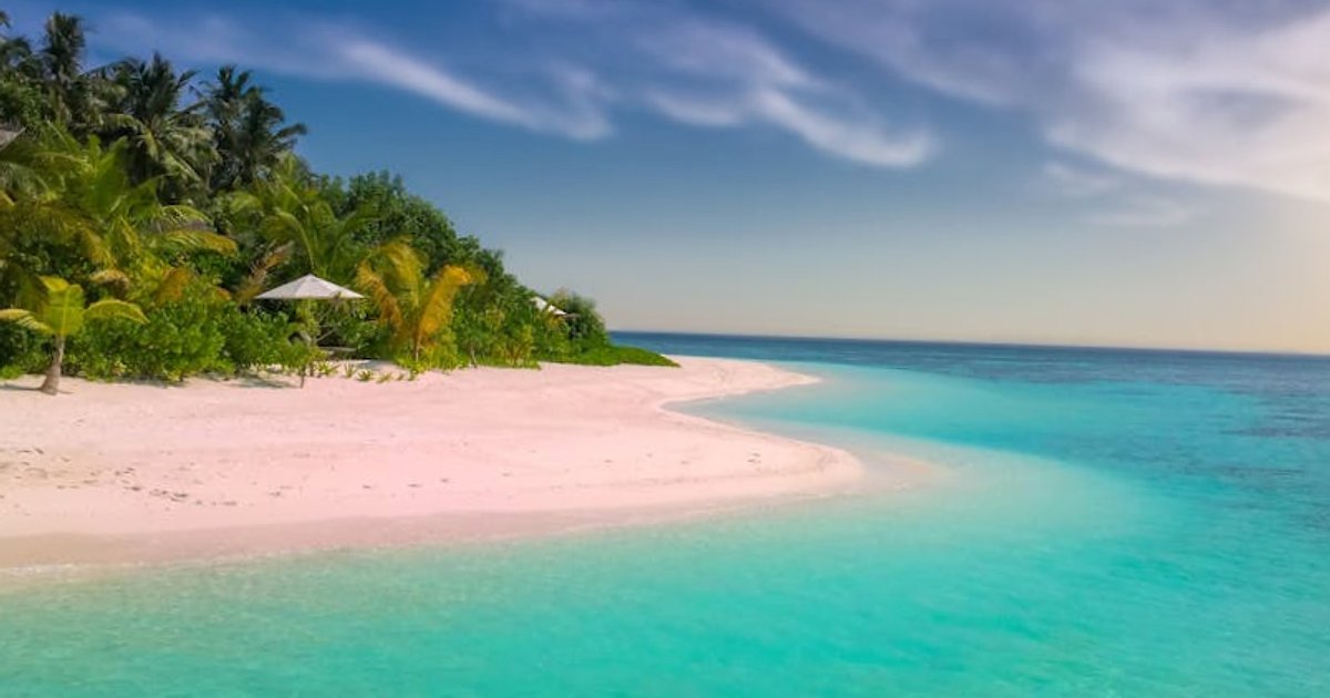 Bezpieczne podróże za granicę w 2026: dokumenty, cła i limity bez stresu