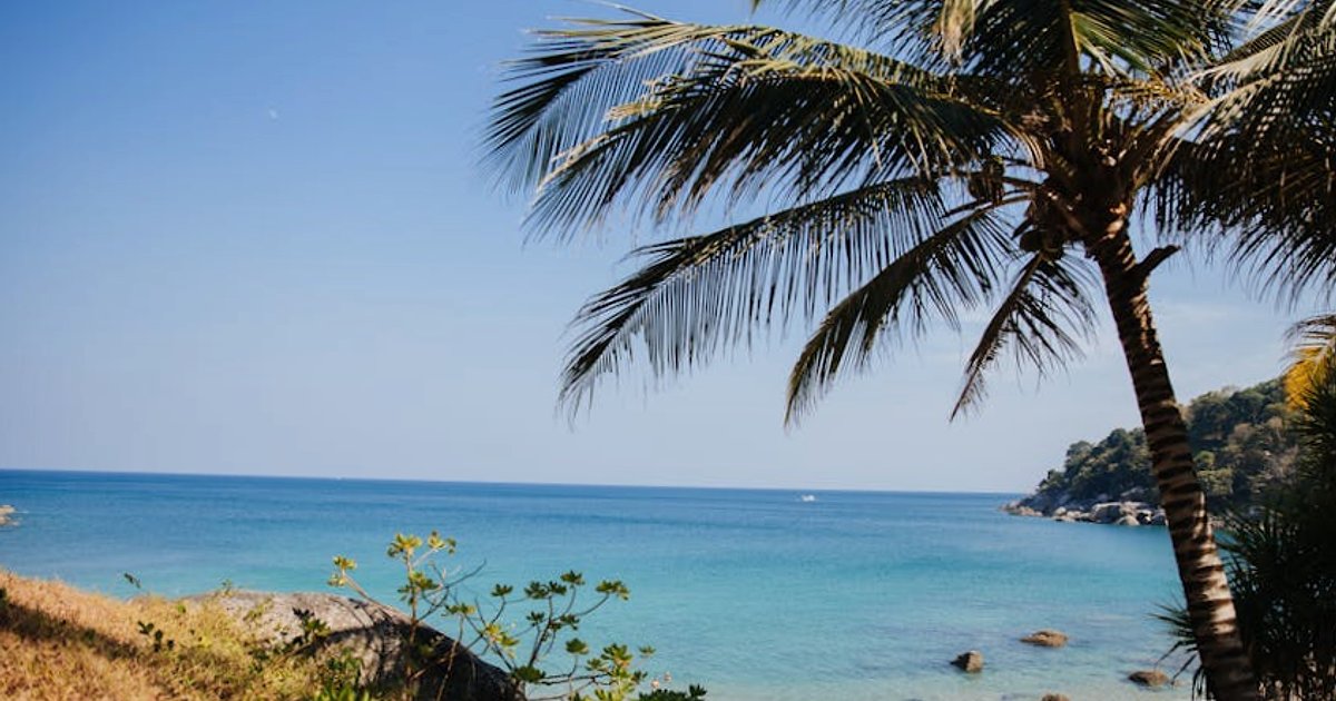 Jak zaplanować podróż z AI w 2026 roku: sprytne aplikacje, realne oszczędności i zero ściemy