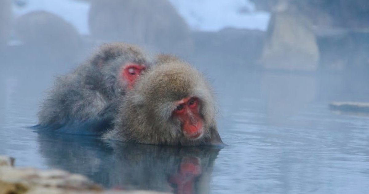 Onsen i natura w Japonii: góry, jeziora i idealne dni slow travel poza miastem