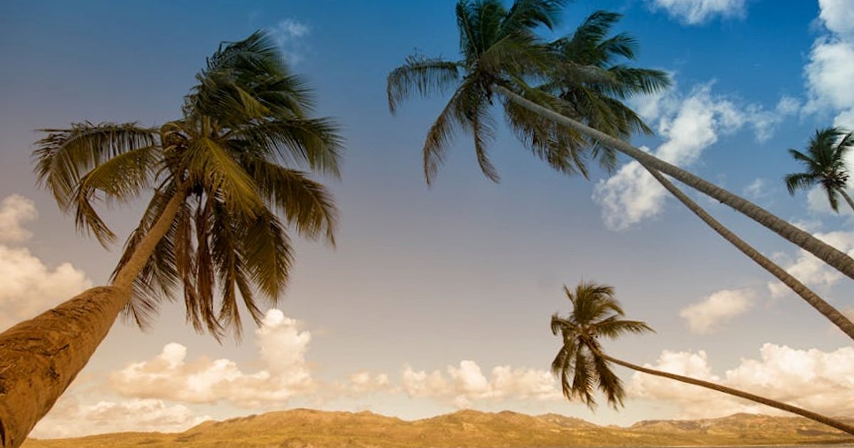 Trendy w planowaniu podróży 2026: AI, micro‑tripy i koniec chaosu w notatkach